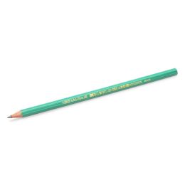 Crayons bic ecolutions evolution 650 hb