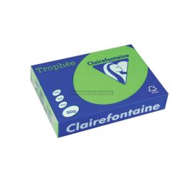 500 feuilles de papier vert menthe a4 80 g clairefontaine trophe