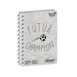 Agenda  spirale shaman 1 jour par page 12 x 17 cm champion