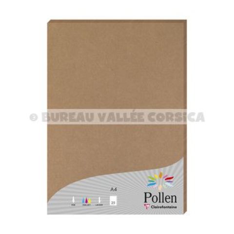 25 feuilles de papier pollen a4 kraft 200g