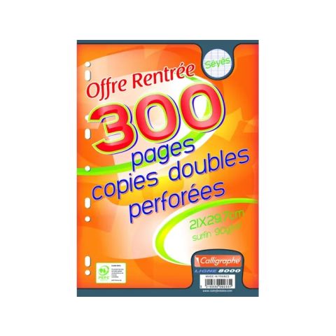 300 copies doubles a4 grands carreaux perfores