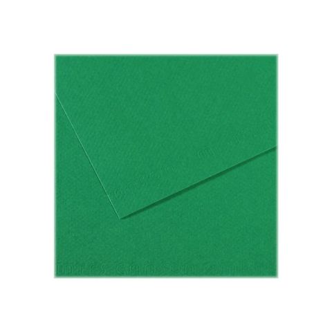 Papier  dessin mi-teintes 50 x 65 cm vert billard