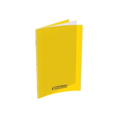 Cahier polypro 24 x 32 cm 48 pages grands carreaux