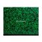 #1 - Carton  dessin annonay vert 30 mm 52 x 72 cm