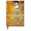 #1 - Carnet midi special edition klimt portrait of adele