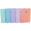 #1 - Bloc notes perfor 21 x 31,5 cm 160 pages grands carreaux