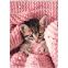 #1 - Cahier de texte chaton tendre 15 x 21 cm